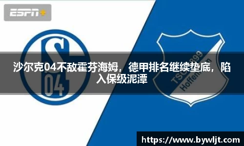 hb火博体育